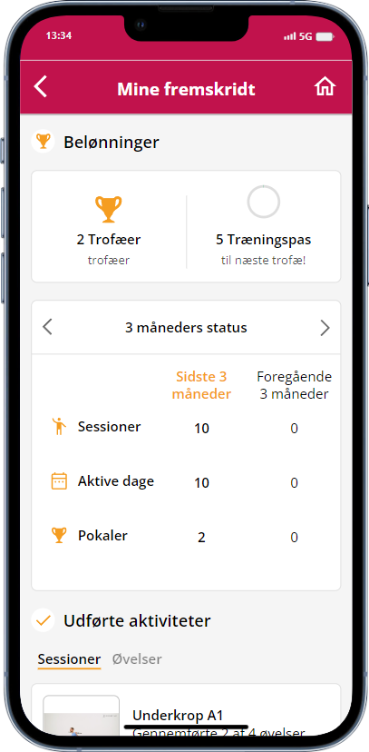 min-fremgang_DK.png