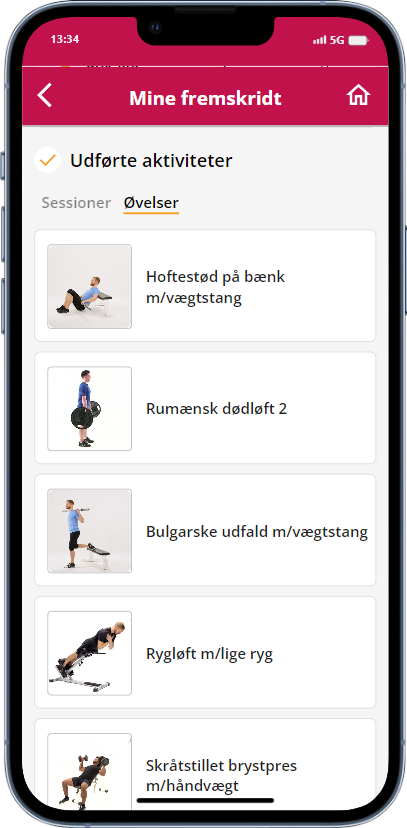 min-fremgang_øvelser_DK.png