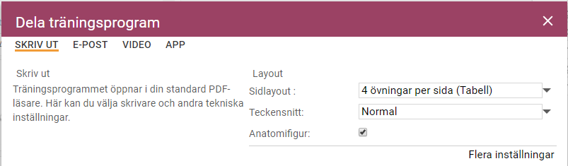 Skriv_ut_1__SE.PNG