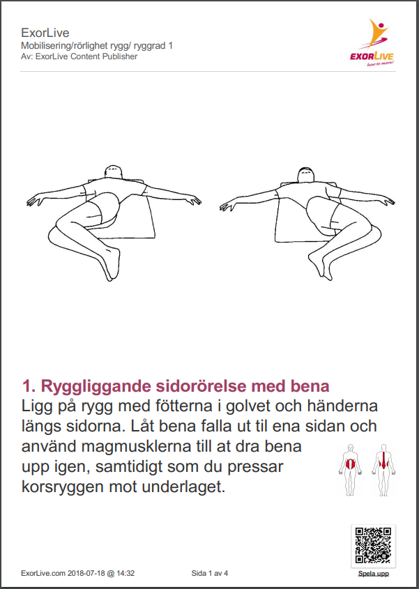 Utskriftseksempel_2__SE.PNG