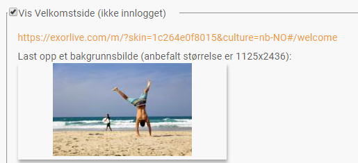 Velkomstside_eksempel.png